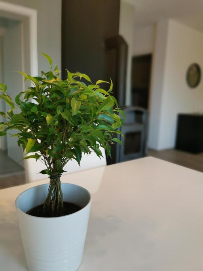Ferienwohnung Auf Villa Hendschhof 상트벤델 외부 사진
